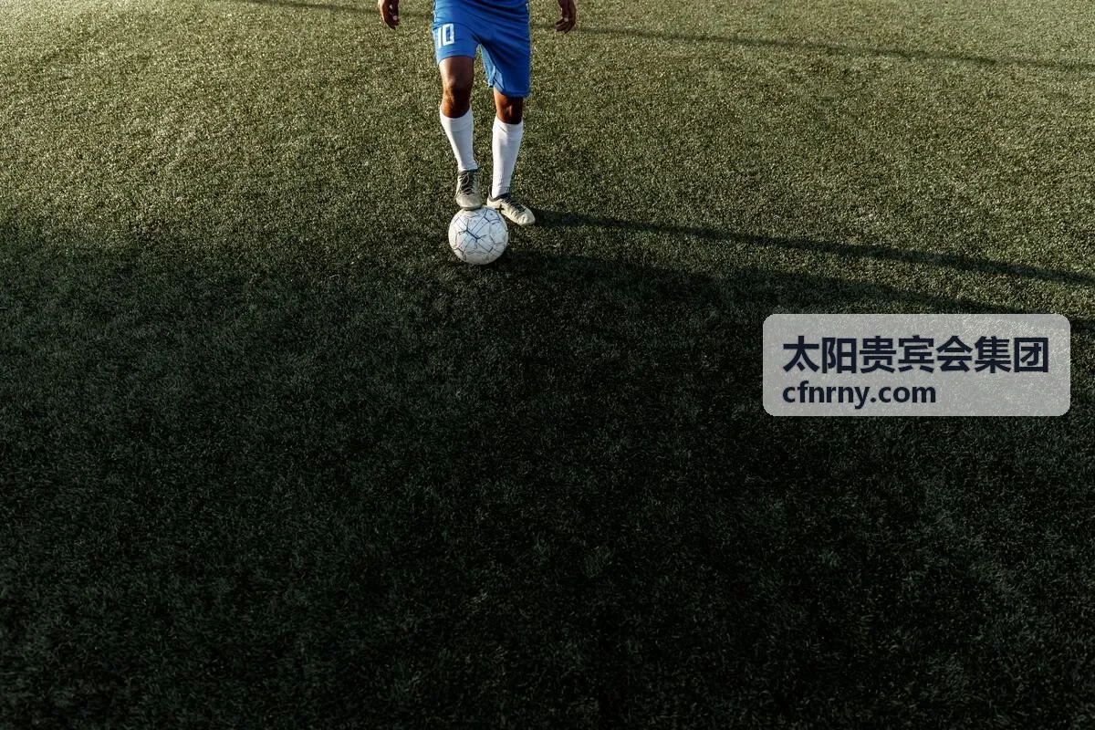 太阳贵宾会教育咨询